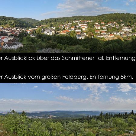 Taunusblick-Meissner Schmitten Exterior photo